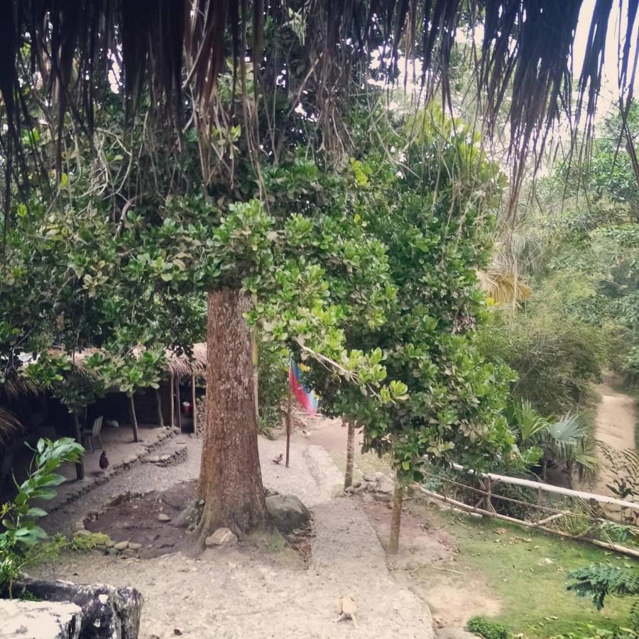 Hotel La Cima Tayrona Santa Marta  Zewnętrze zdjęcie